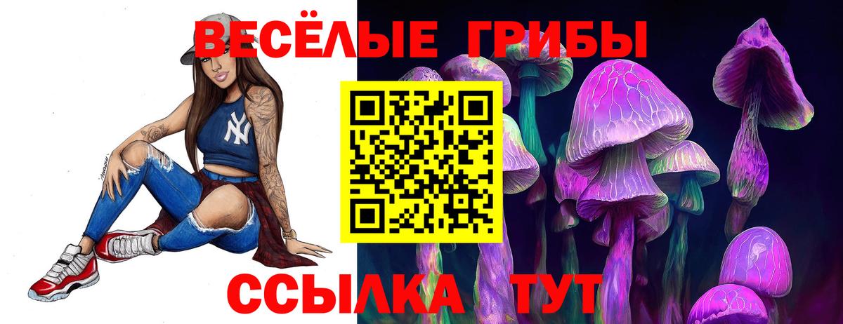 Псилоцибиновые грибы мицелий  Вход с VPN  Надым  где купить наркотик  Псилоцибиновые грибы мицелий 