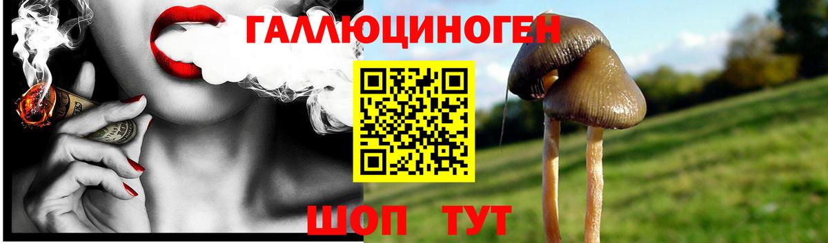 Галлюциногенные грибы MAGIC MUSHROOMS Надым