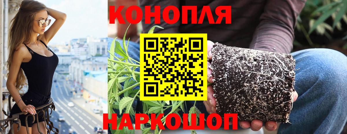 Марихуана OG Kush Надым