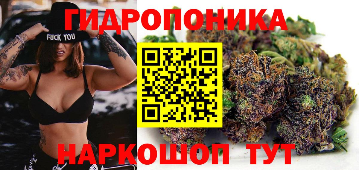 НБОМе Надым